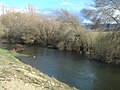 El Adaja a su paso por el valle de Amblés a 10 km de su nacimiento.