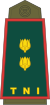 Lieutenant Colonel