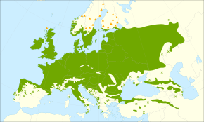 Description de l'image Quercus robur range.svg.