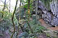 5. Partie supérieure du vallon des grottes Schmerling, à proximité du plateau des Fagnes