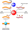 ACE-Hemmer: Physiologischer Wirkmechanismus