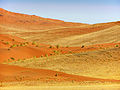 64 Sossusvlei sand dunes