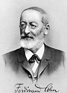 Ferdinand Julius Cohn -  Bild