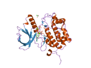 2ou7: Structure of the Catalytic Domain of Human Polo-like Kinase 1