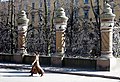 Grilaje din 1762, la Sankt Petersburg, Rusia.