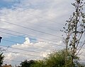 Stratocumulus castellanus