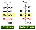 glucosio e galattosio