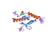 2h7d: Solution structure of the talin F3 domain in complex with a chimeric beta3 integrin-PIP kinase peptide