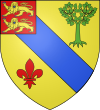 Blason de Tilly