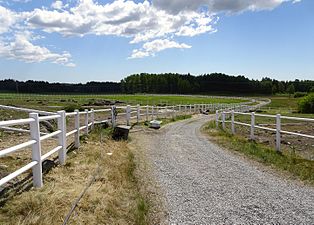 Vita inhägnader dominerar landskapsbilden.