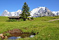 60 Gimmelwald-Grütschalp