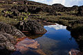 Mountajna Roraima/Roraima Mountaint (Monte Roraima)