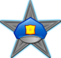 Medalje policie