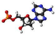 Deoxyadenozínmonofosfát