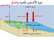 Diagram of the carbon cycle