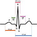 العربية