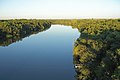 River forest near Río Queguay