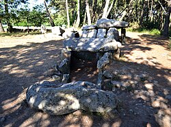 Image illustrative de l’article Dolmens de Mané-Kerioned