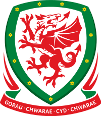 Shirt badge/Association crest