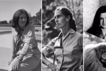 A gauche, Dian Fossey, qui étudia les gorilles. Au centre : Jane Goodall, spécialiste des chimpanzés. A droite : Biruté Galdikas, experte des orangs-outans..