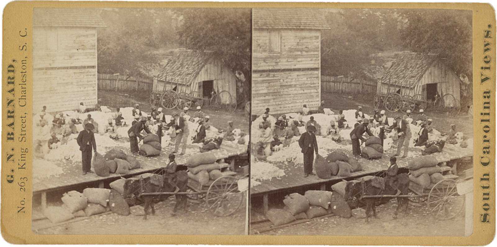 View of laborers preparing cotton for gins, on Alex. Knox's plantation, Mount Pleasant, near Charleston, S.C. 1874. Library of Congress Reconstruction-S-violence-LOC-1874.jpg